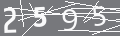 capsa